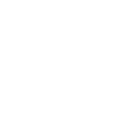 EifelGas Logo